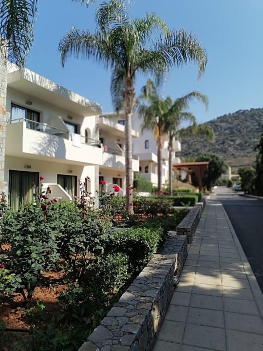 Ausblick Sentido Kyknos Beach Adults Only 16+