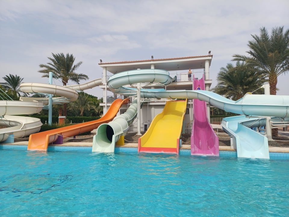 Sport & Freizeit Desert Rose