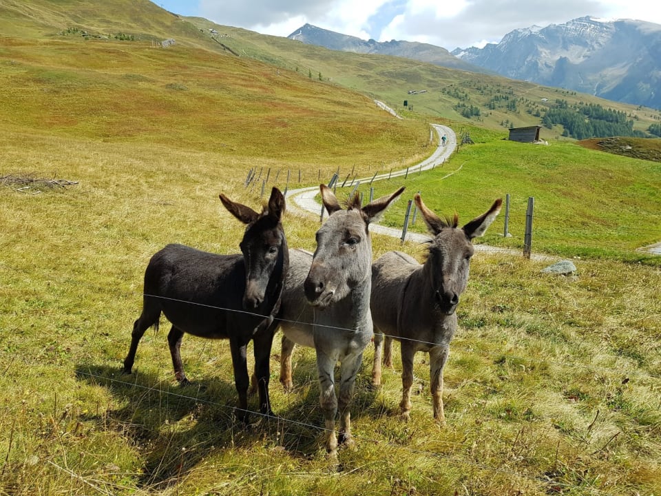 Sonstiges Familienpension Gletscherblick