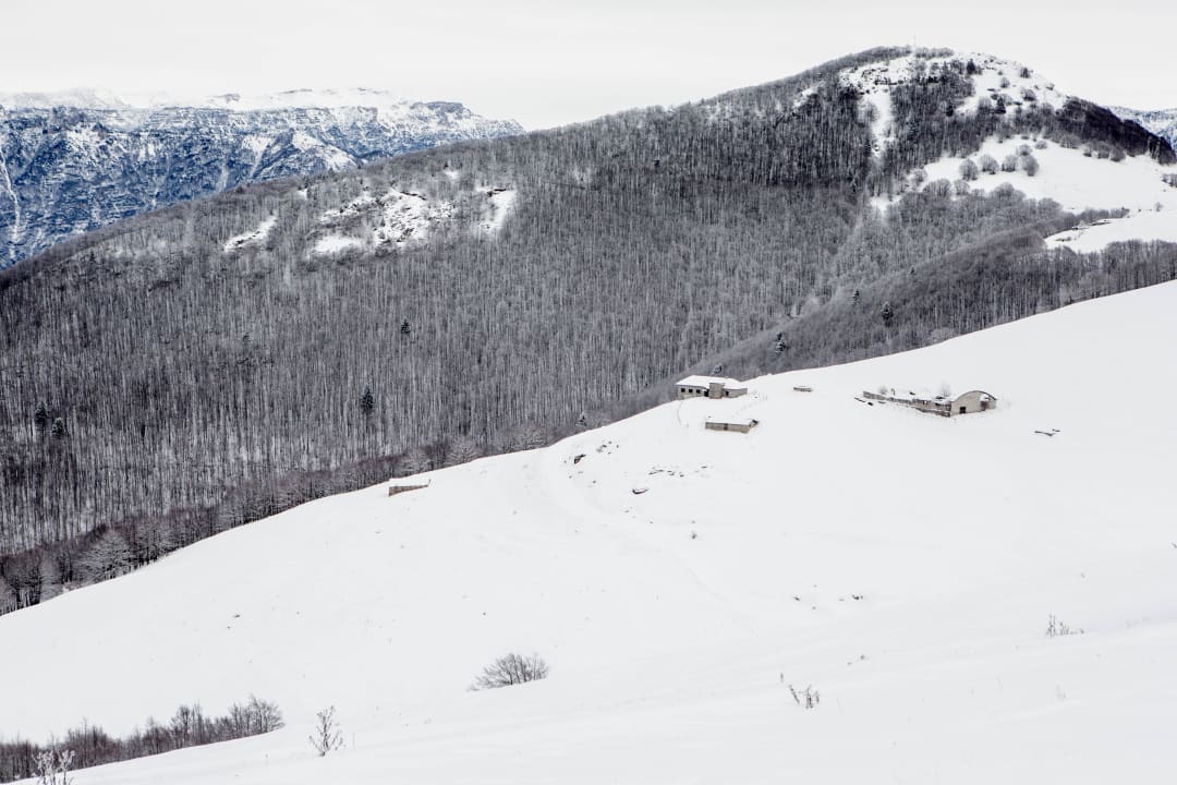 Family Hotel Betulla Polsa vacanza holiday fabilia Family Hotel Polsa