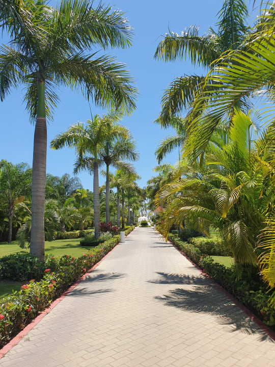 Gartenanlage Bahia Principe Luxury Bouganville