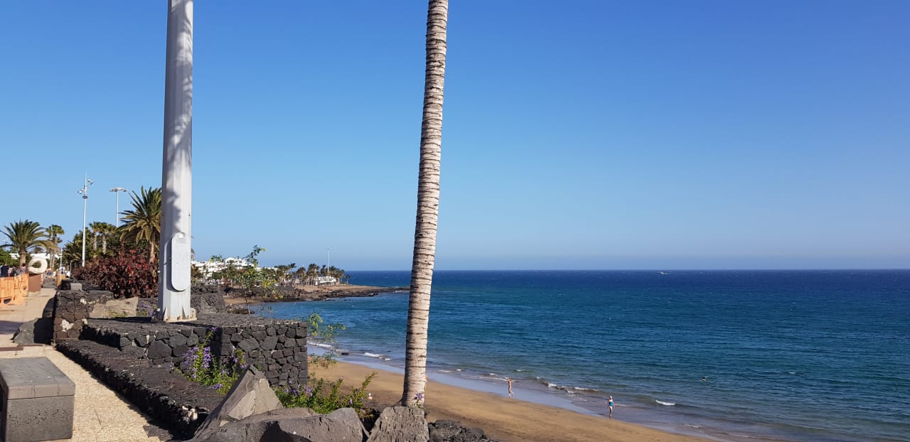 Ausblick Apartamentos Guacimeta