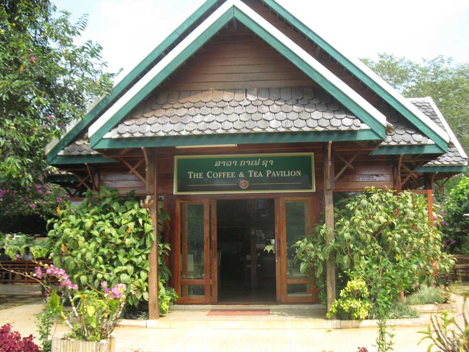 Kaffeeplantage des Hotels Hotel Sisouk Residence