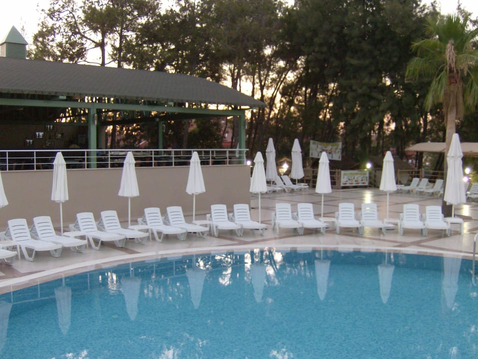 Liegen am Pool, es sind immer genug da! Club Sidelya Hotel