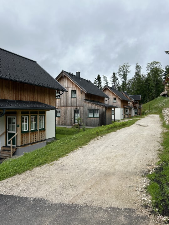 Sonstiges Narzissendorf Zloam - Grundlsee