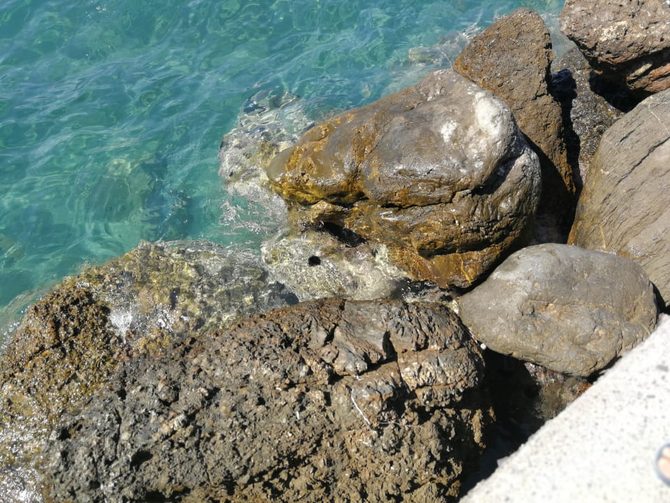 Strand TUI BLUE Oceanis Beach and Spa Resort