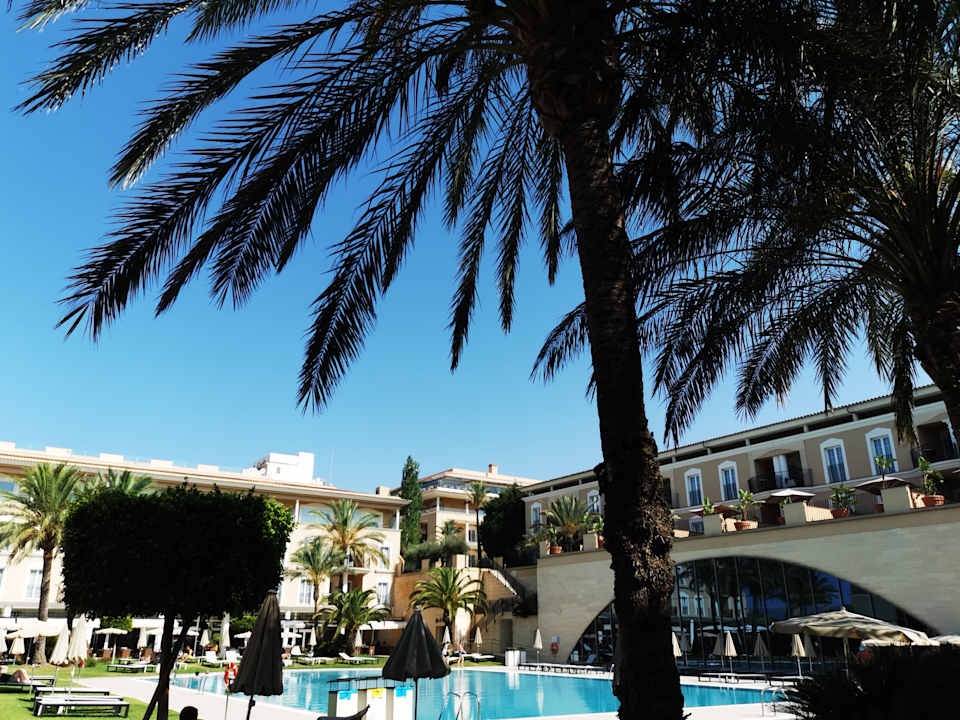 Pool Grupotel Playa de Palma Suites & Spa