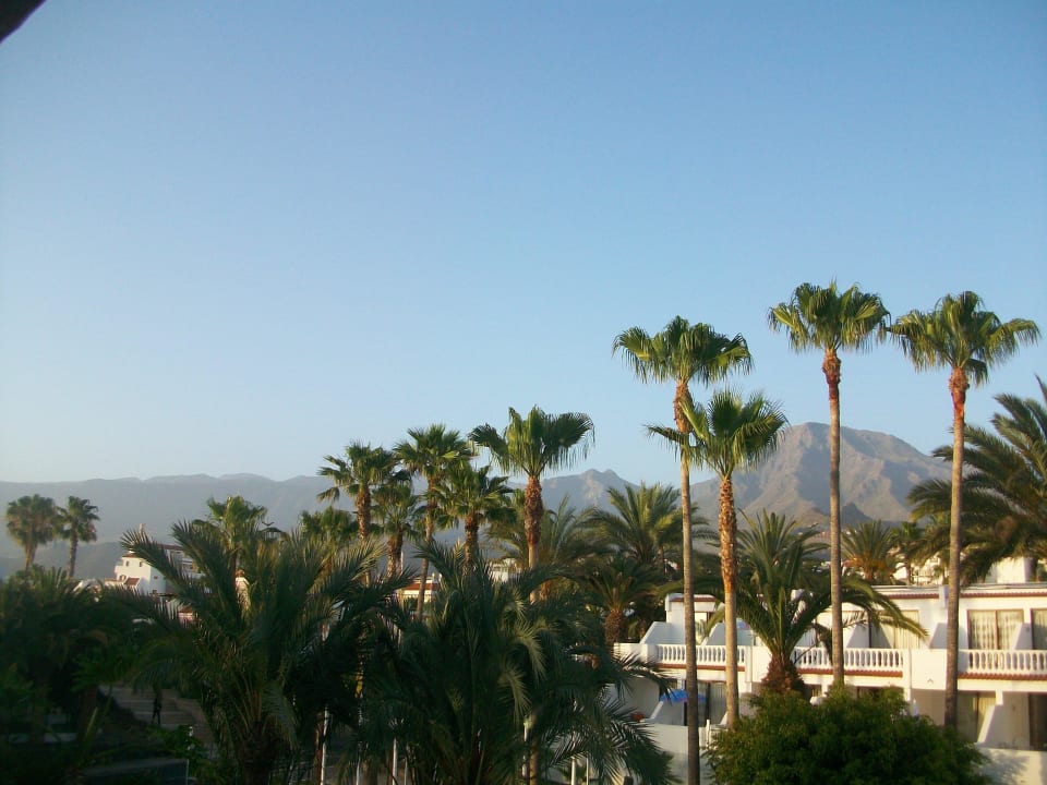 Balkonblick zur Landseite Dreams Jardín Tropical