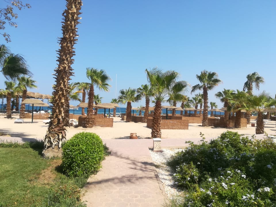 Lotus bay beach