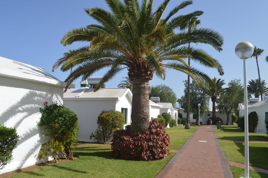 Bungalowresort Canary Garden Club