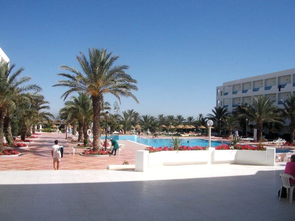 Aussicht vom Hotel auf den Pool Hotel Rosa Beach