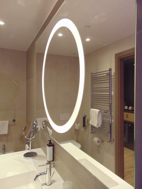 Zimmer Mercure Almaty City Center