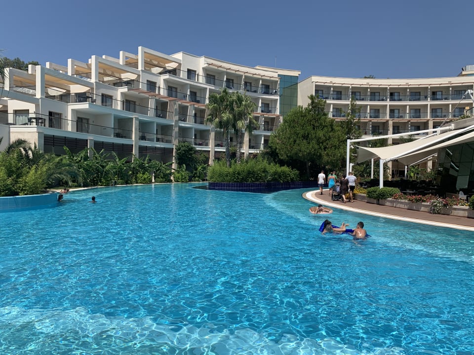 Pool Paloma Pasha