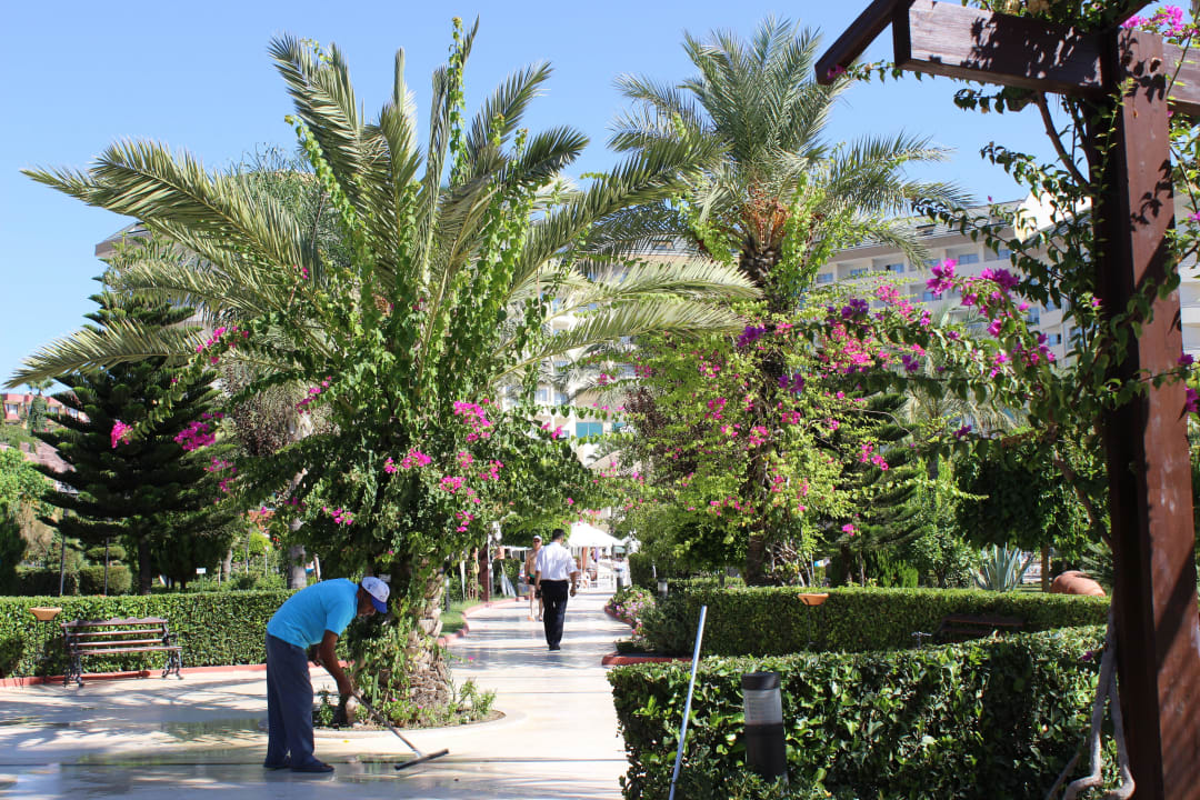 Weg zum Strand Saphir Resort & Spa