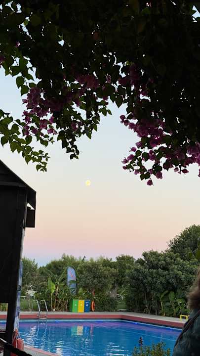 Pool Irene Palace Beach Resort