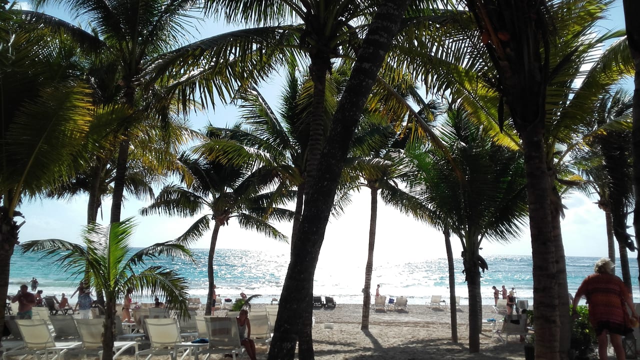 Strand Catalonia Royal Tulum Beach & Spa Resort - Adults only