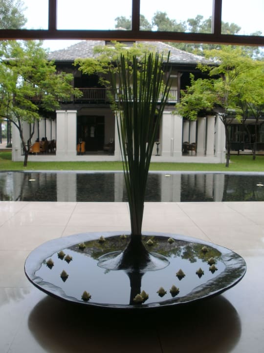 Lotusblüten Anantara Chiang Mai Resort