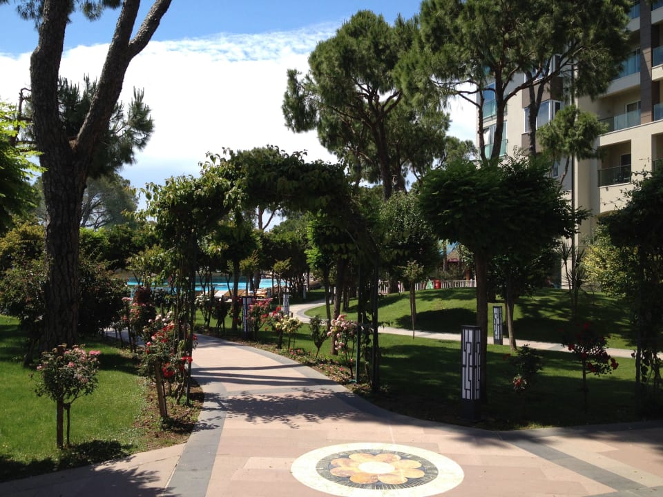 Garten Papillon Ayscha