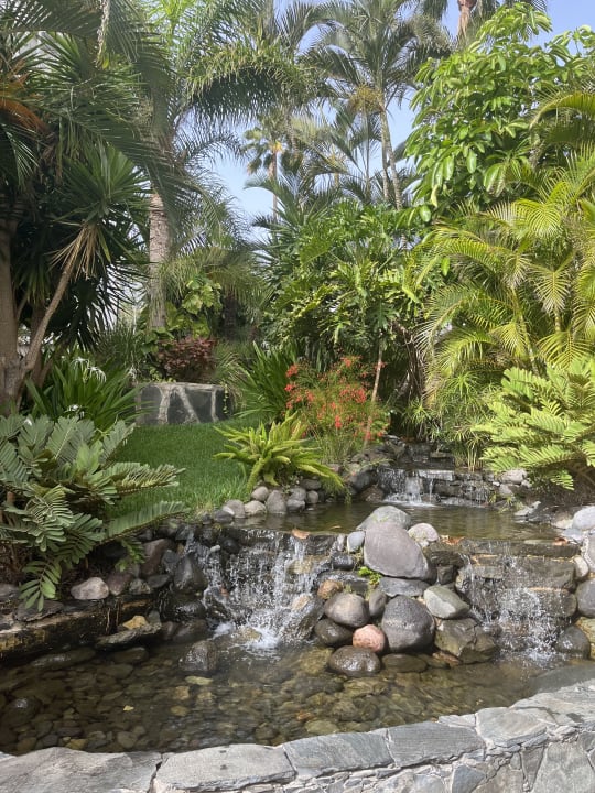 Gartenanlage allsun Hotel Lucana