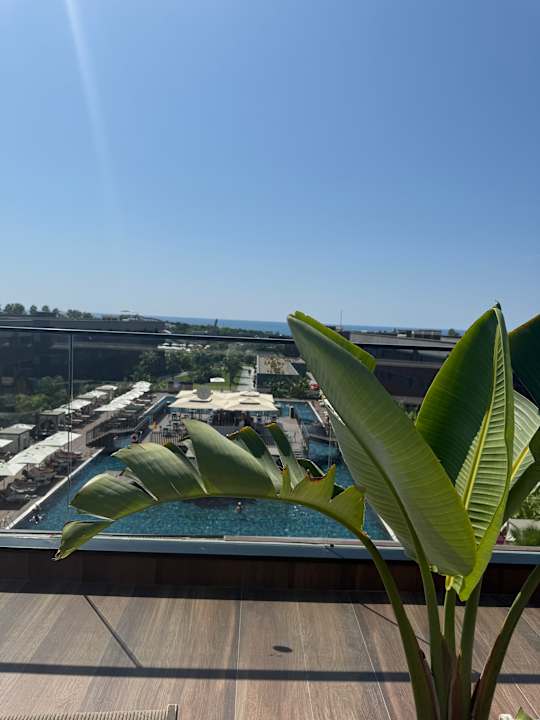 Pool Jacaranda Luxury Resort