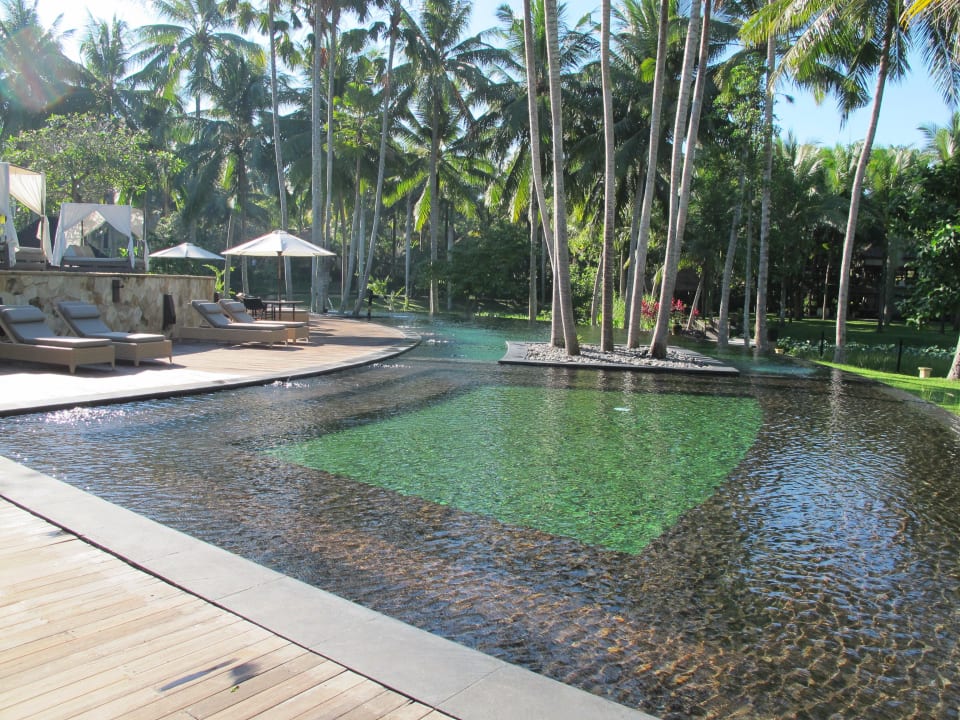 Pool The Ubud Village Resort & Spa