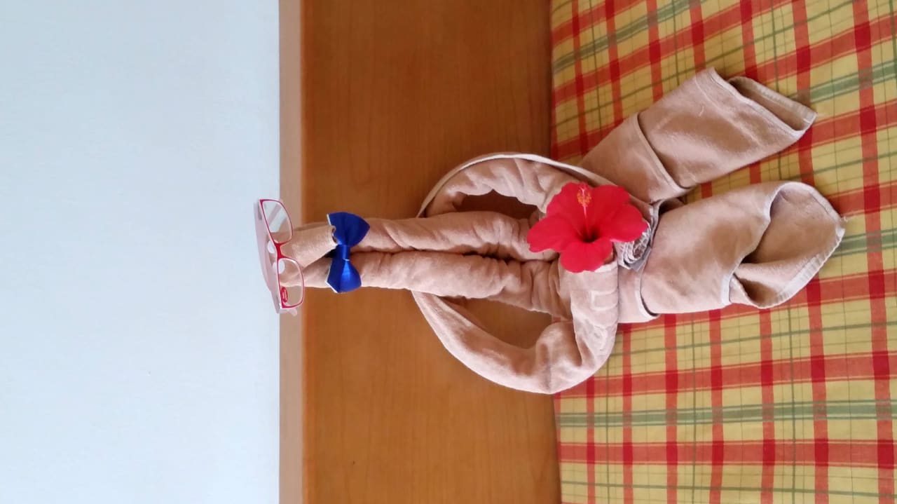 Jeden Tag ein anderes Motiv SBH Club Paraiso Playa