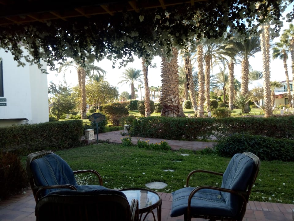 Zimmer Lotus Bay Beach Resort