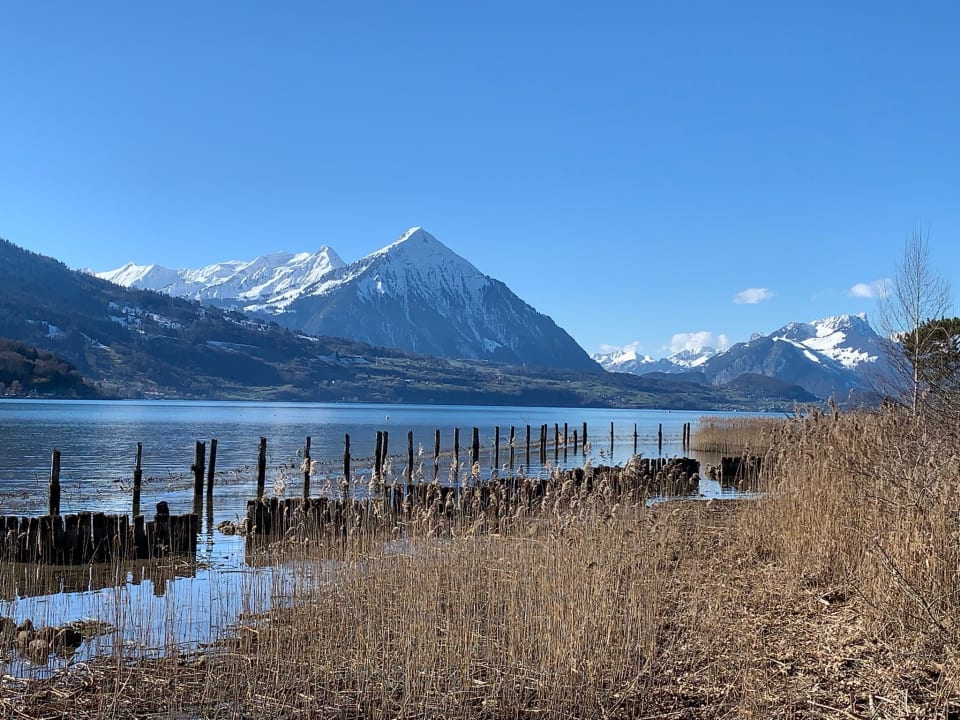 Ausblick Hapimag Resort Interlaken