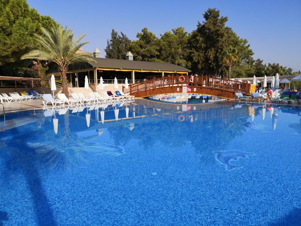 Pool Club Sidelya Hotel