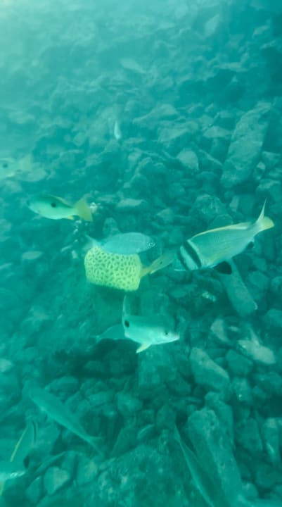 Strand Hotel Three Corners Ocean View prestige - Adults only