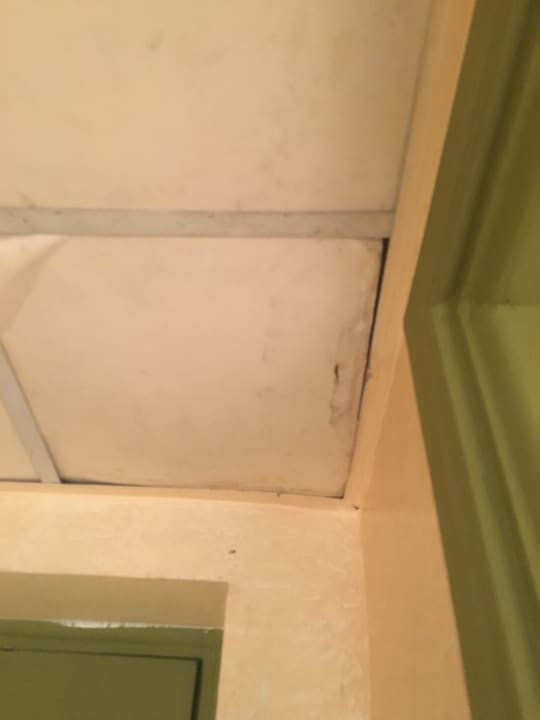 Zimmer Ghazala Gardens