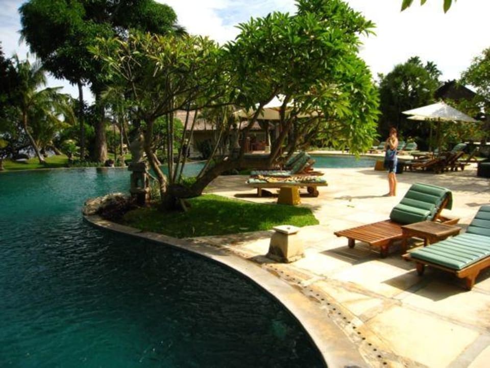 Der Pool Puri Bagus Lovina