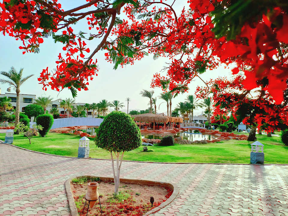 Gartenanlage Regency Plaza Aqua Park & Spa