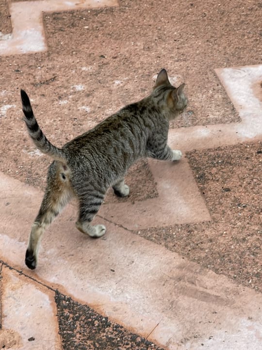 Sonstiges Limak Limra Hotel & Resort