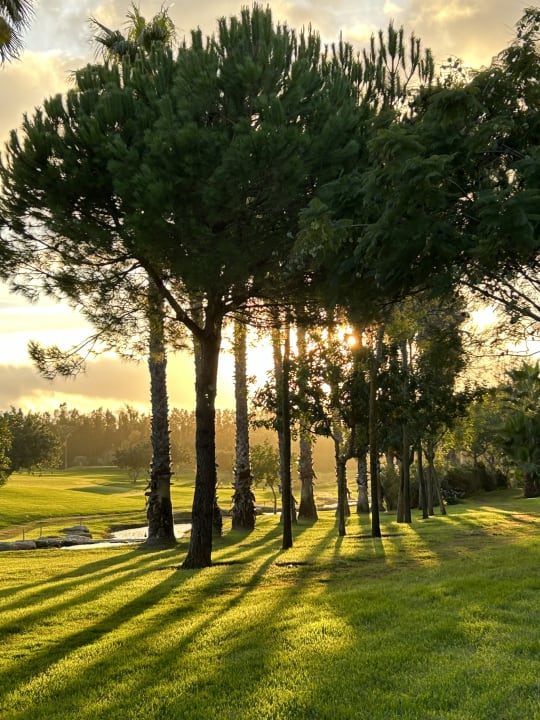 Gartenanlage ROBINSON QUINTA DA RIA