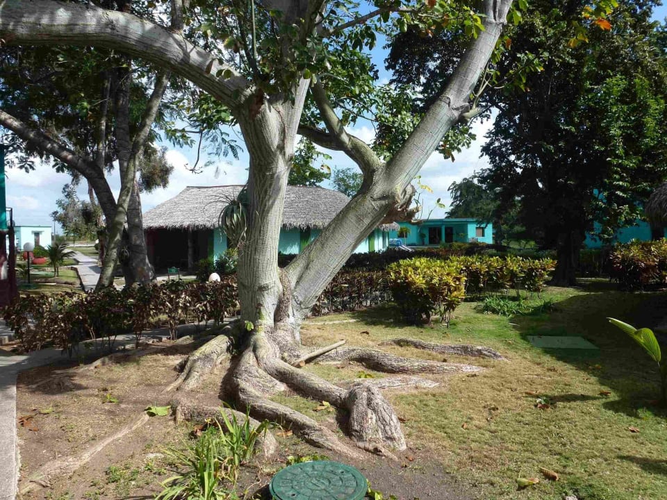 Santa Clara Hotel Los Caneyes