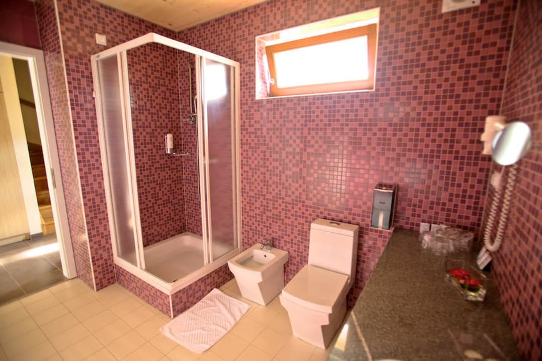 Apartment Bathroom Terme Topolsica - Ocepkov Gaj