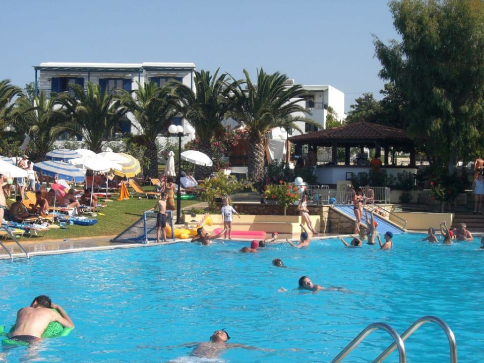 Pool TUI SUNEO Chrissi Amoudia