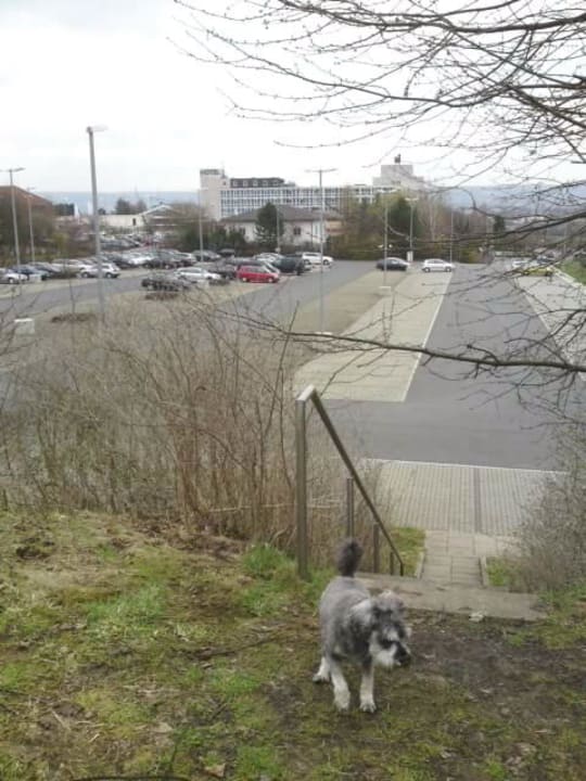 Blick vom Pilgerpfad zum  Hotel Hotel Freizeit In