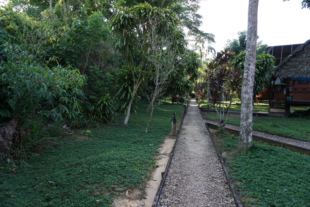 Gartenanlage Tambopata Ecolodge