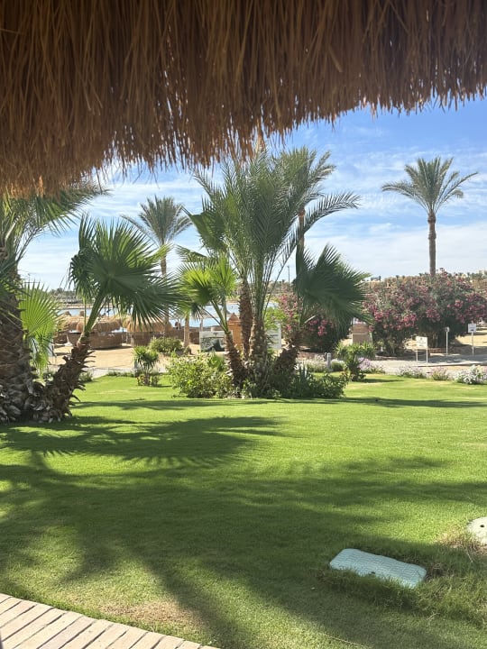 Gartenanlage Steigenberger Coraya Beach - Adults only