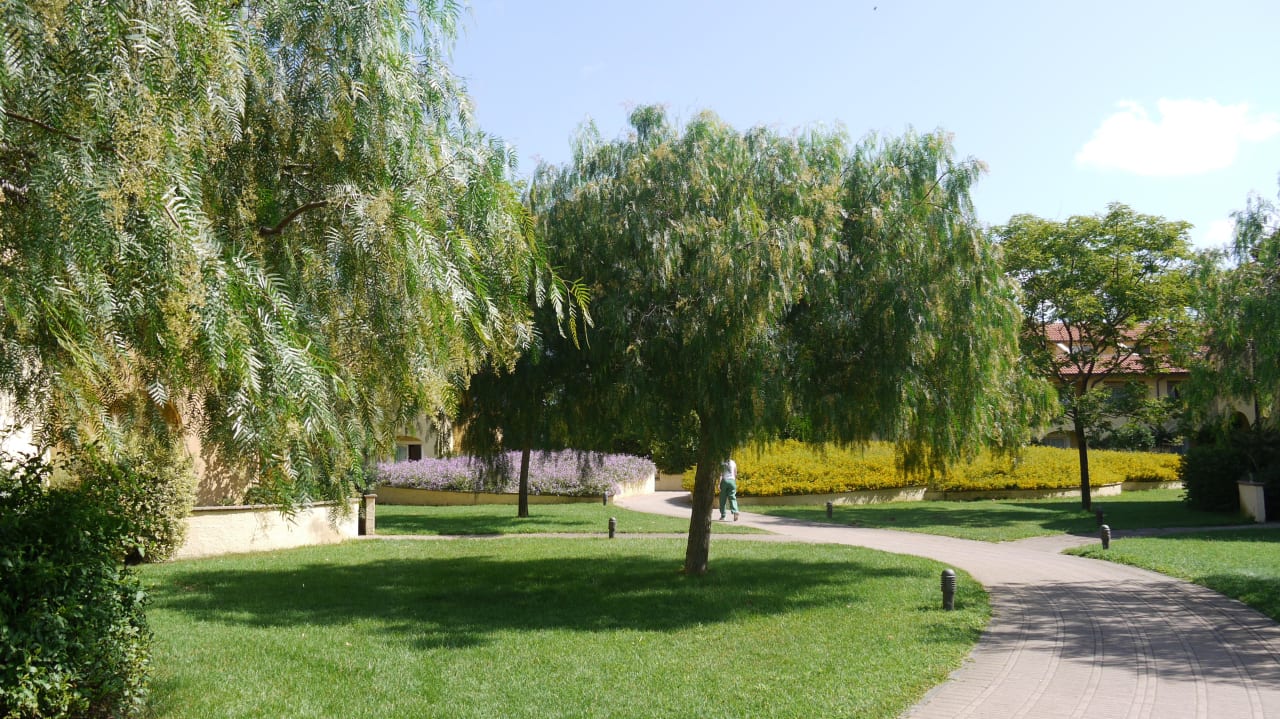 Ogród Falkensteiner Club Funimation Garden Calabria