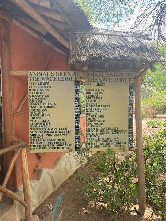 Gartenanlage Satao Camp