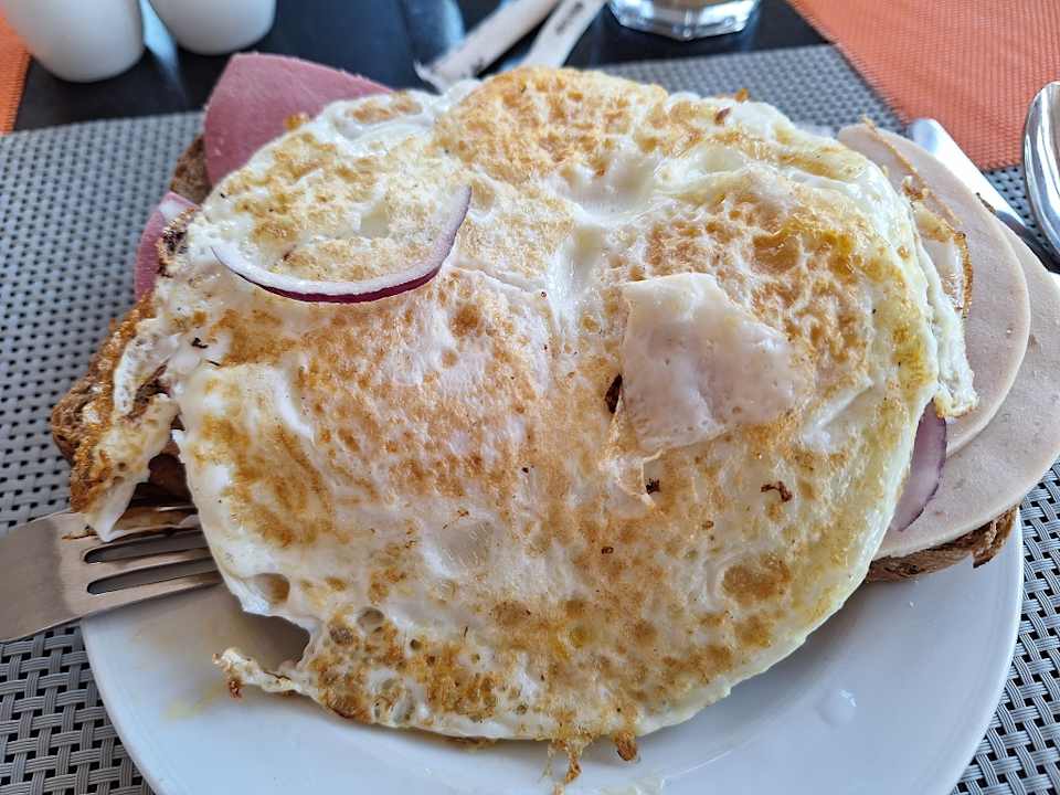 Gastro JAZ Neo Reef Marsa