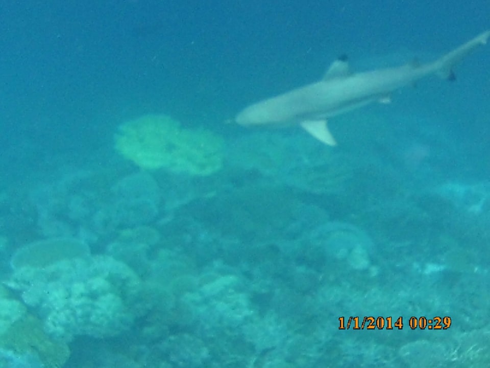 Hai ROBINSON MALDIVES