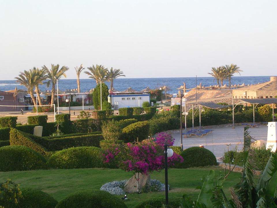 Blick aus dem Zimmer , in der Morgen Frühe Malikia Resort Abu Dabbab
