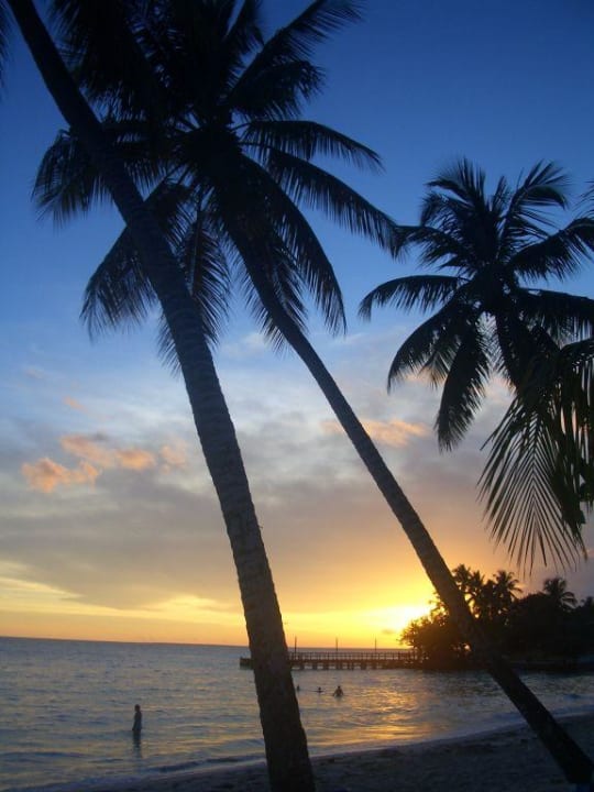 Sonnenuntergang Dreams La Romana Resort & Spa