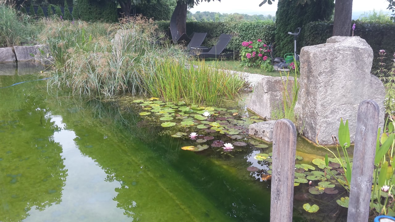 Gartenanlage Schlosshotel Bad Wilhelmshöhe Conference & Spa