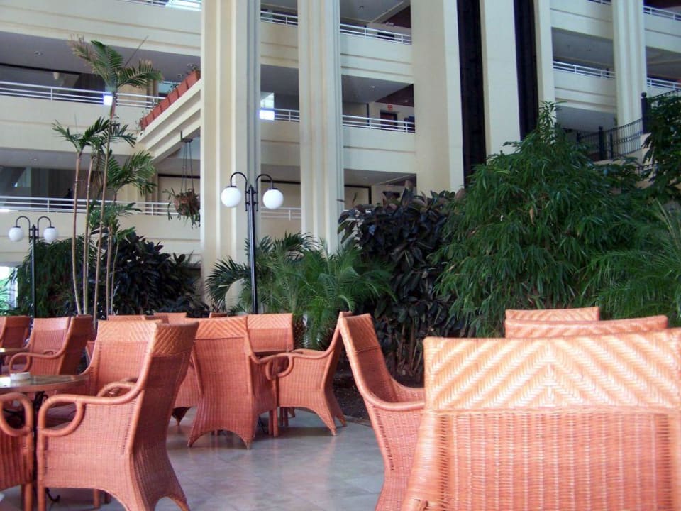 Bar-Lobby Blau varadero - Adults only