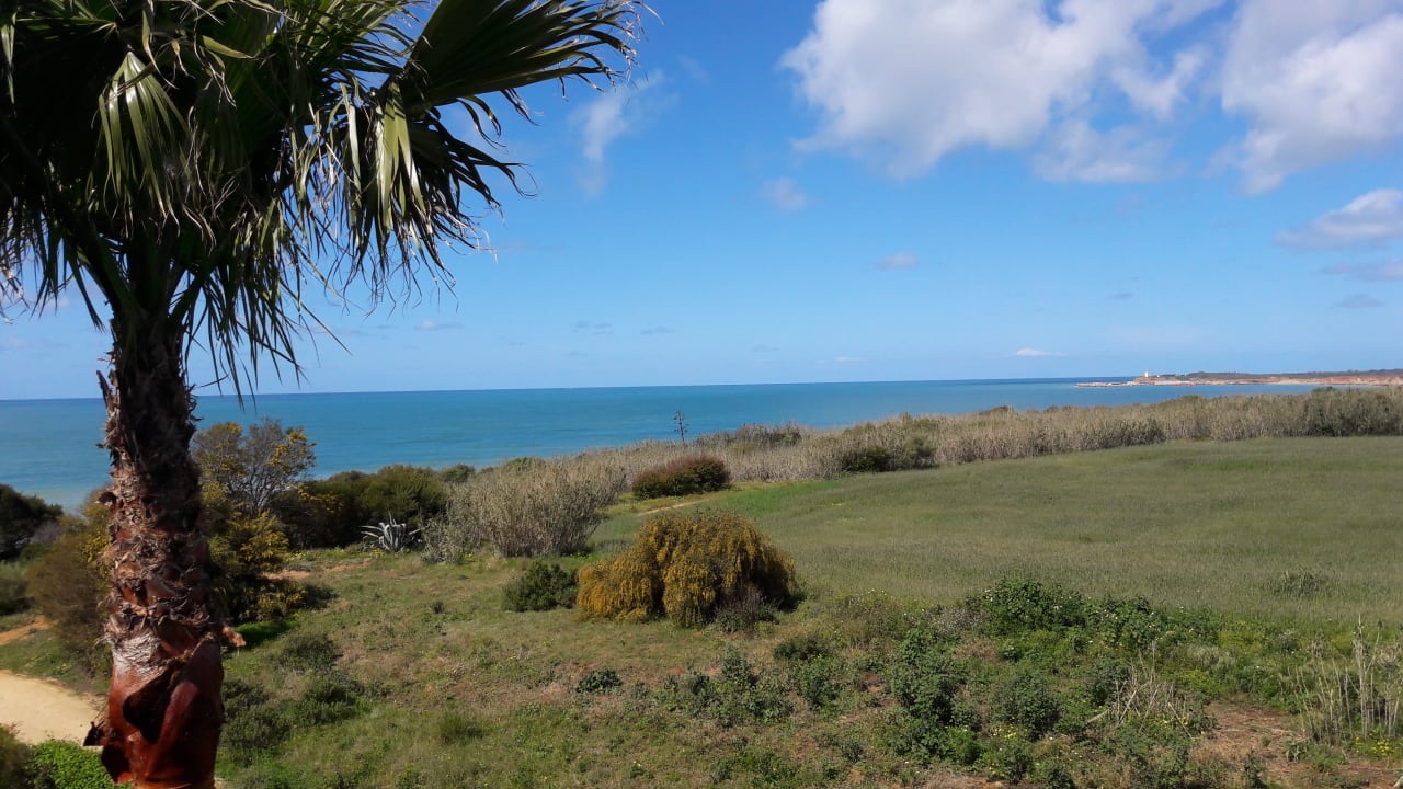 Ausblick vom Zimmer Richtung Conil Hafen Hipotels Gran Conil Hotel